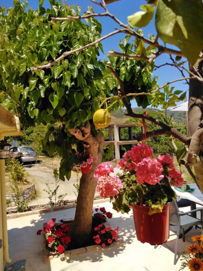 Casa Bellissima Lejlighed Chania  Eksteriør billede